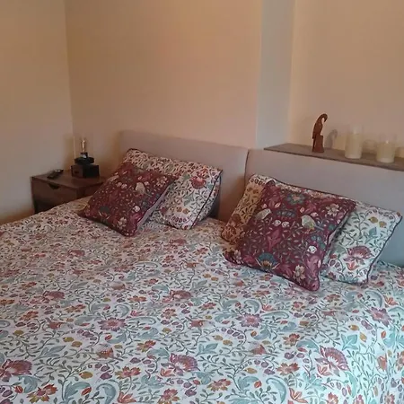Bowtree House Bed And Breakfast-3